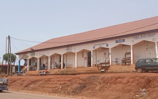 Ngaoundéré