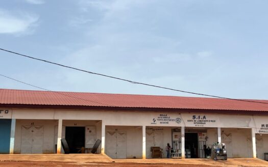 Abuja-market Ngaoundéré
